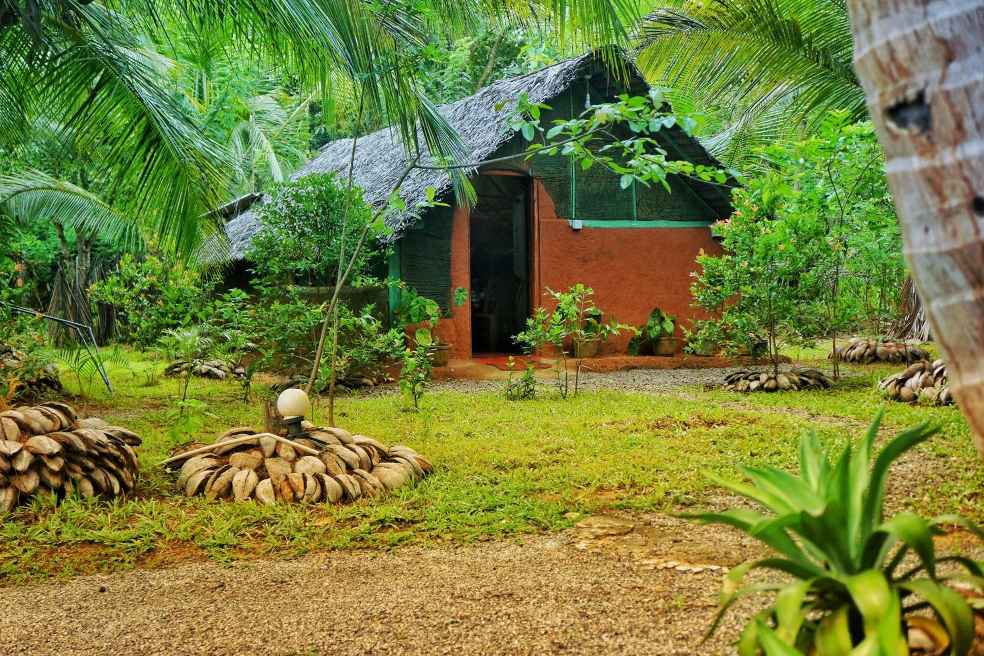 Passion Ray Villa & Tree Hut Sigiriya Room photo