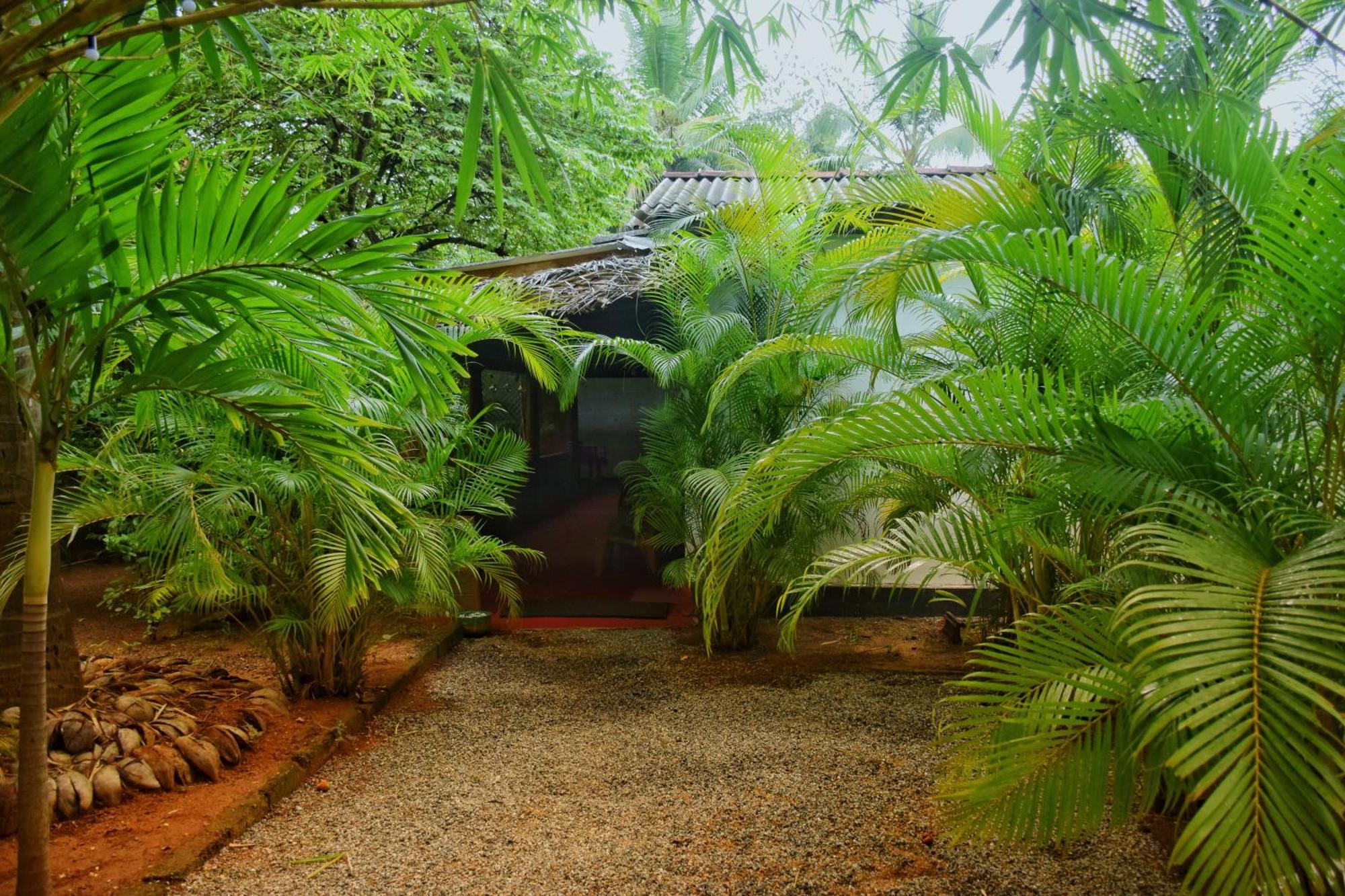 Passion Ray Villa & Tree Hut Sigiriya Exterior photo