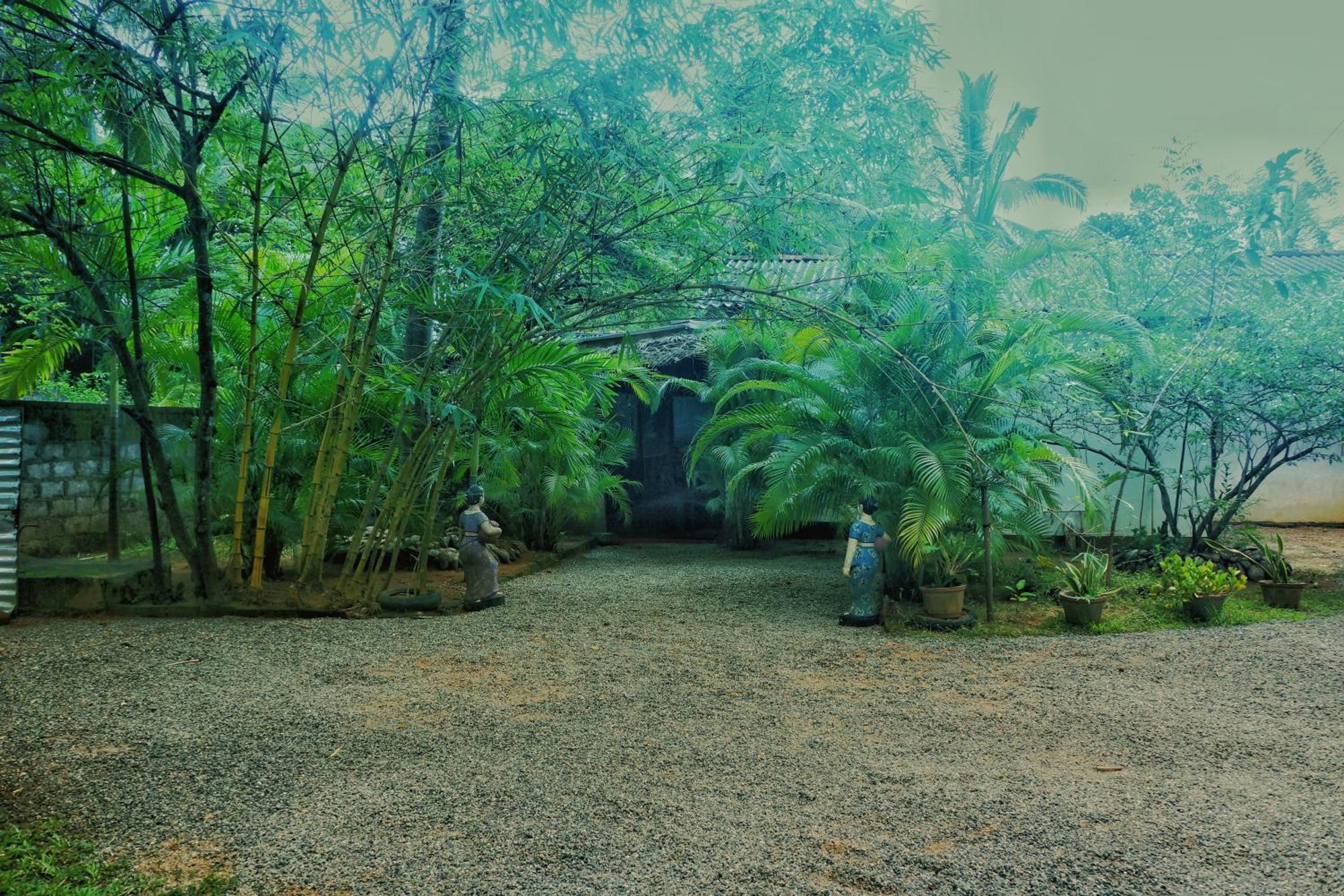 Passion Ray Villa & Tree Hut Sigiriya Exterior photo